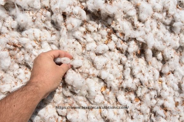Waste in Yarn Manufacturing