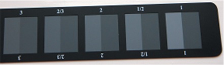 grey scale for color change